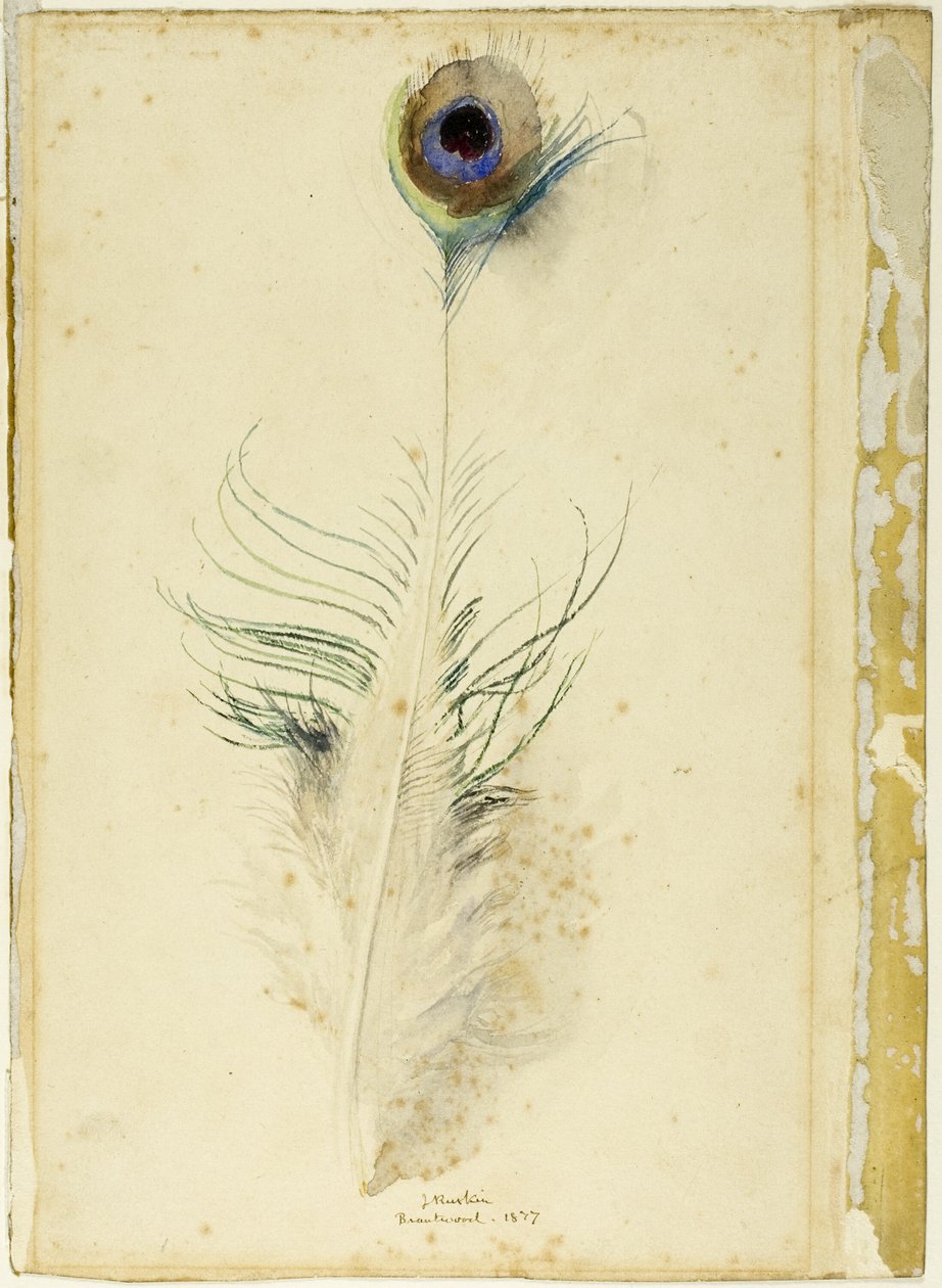 Påfuglfjær av John Ruskin