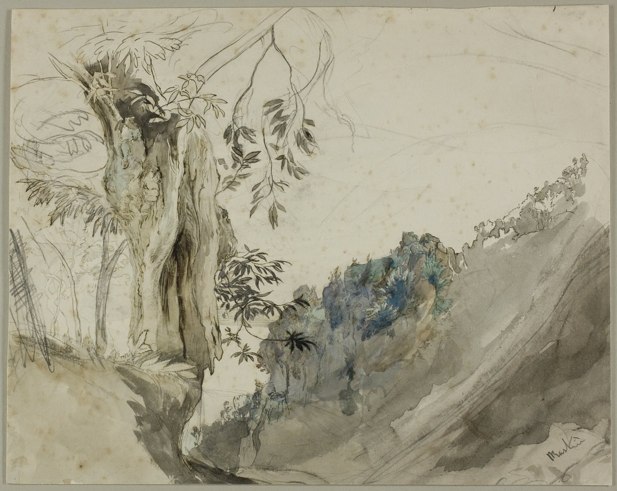 Spansk kastanje av John Ruskin