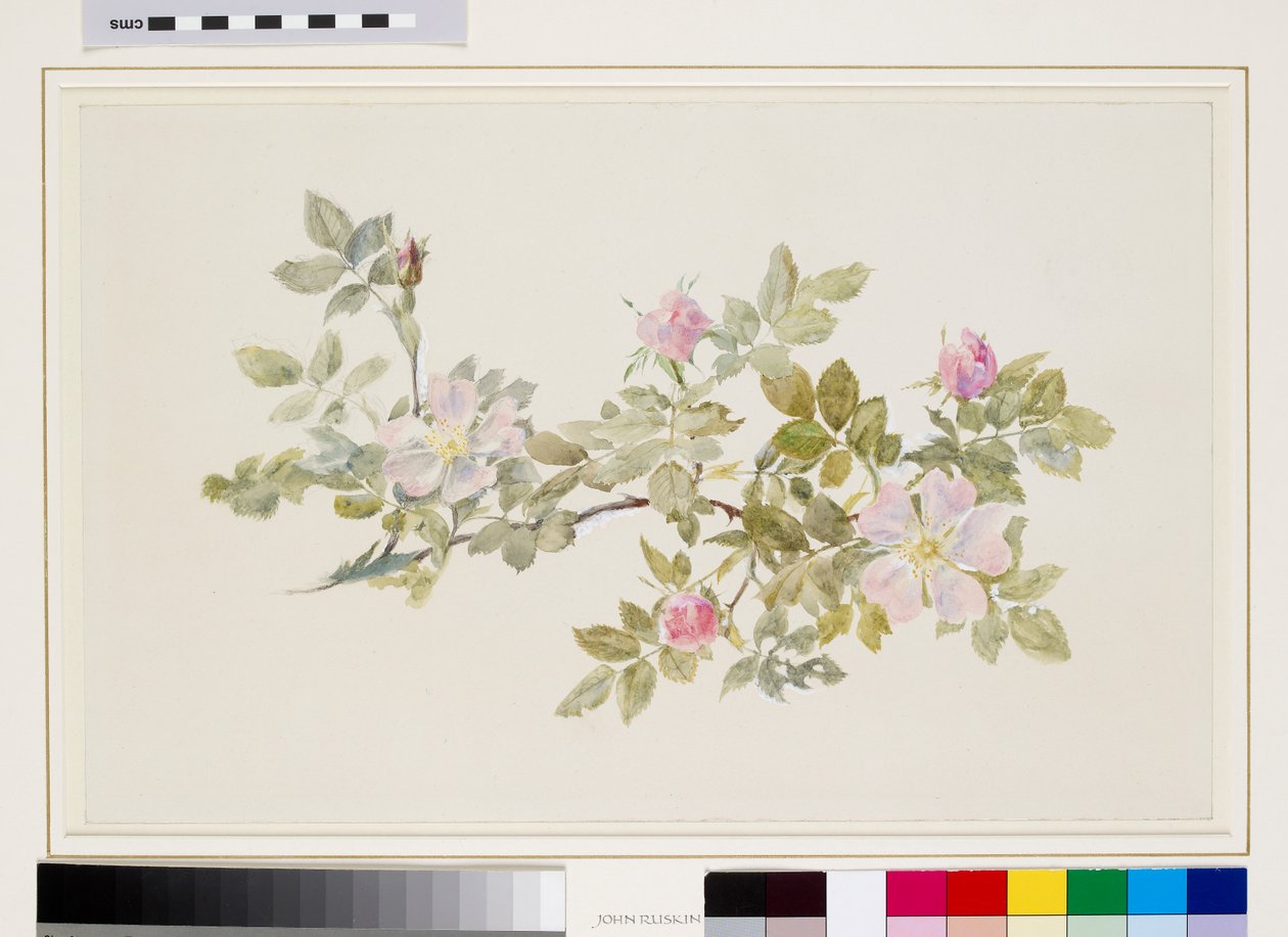 av John Ruskin