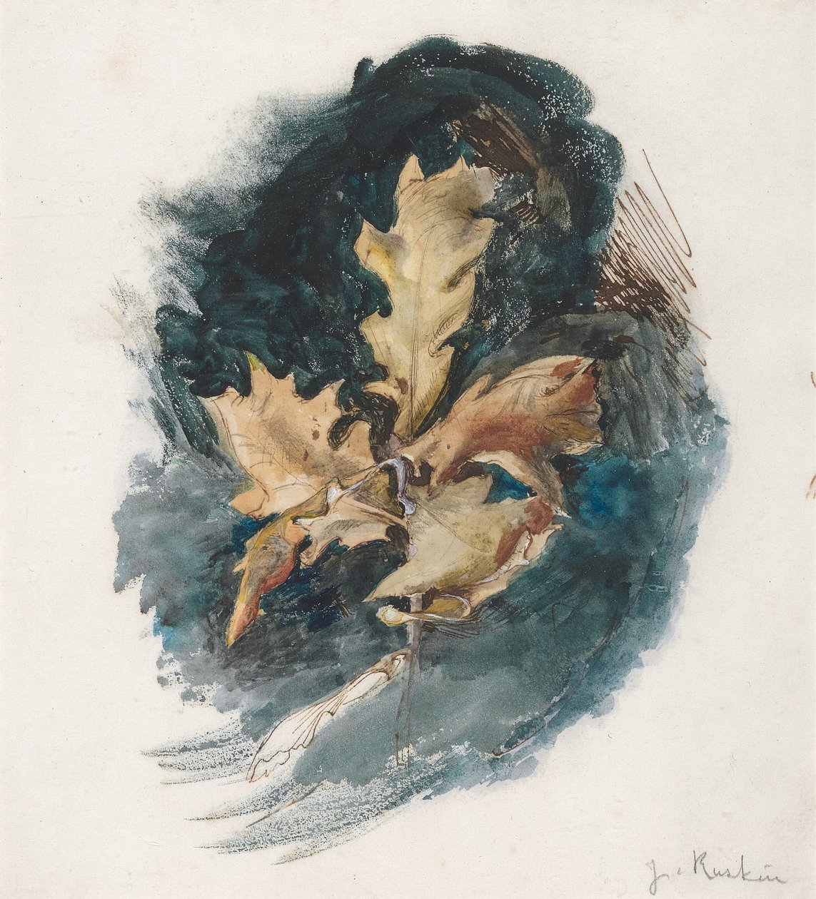 Studie av et eikeblad av John Ruskin