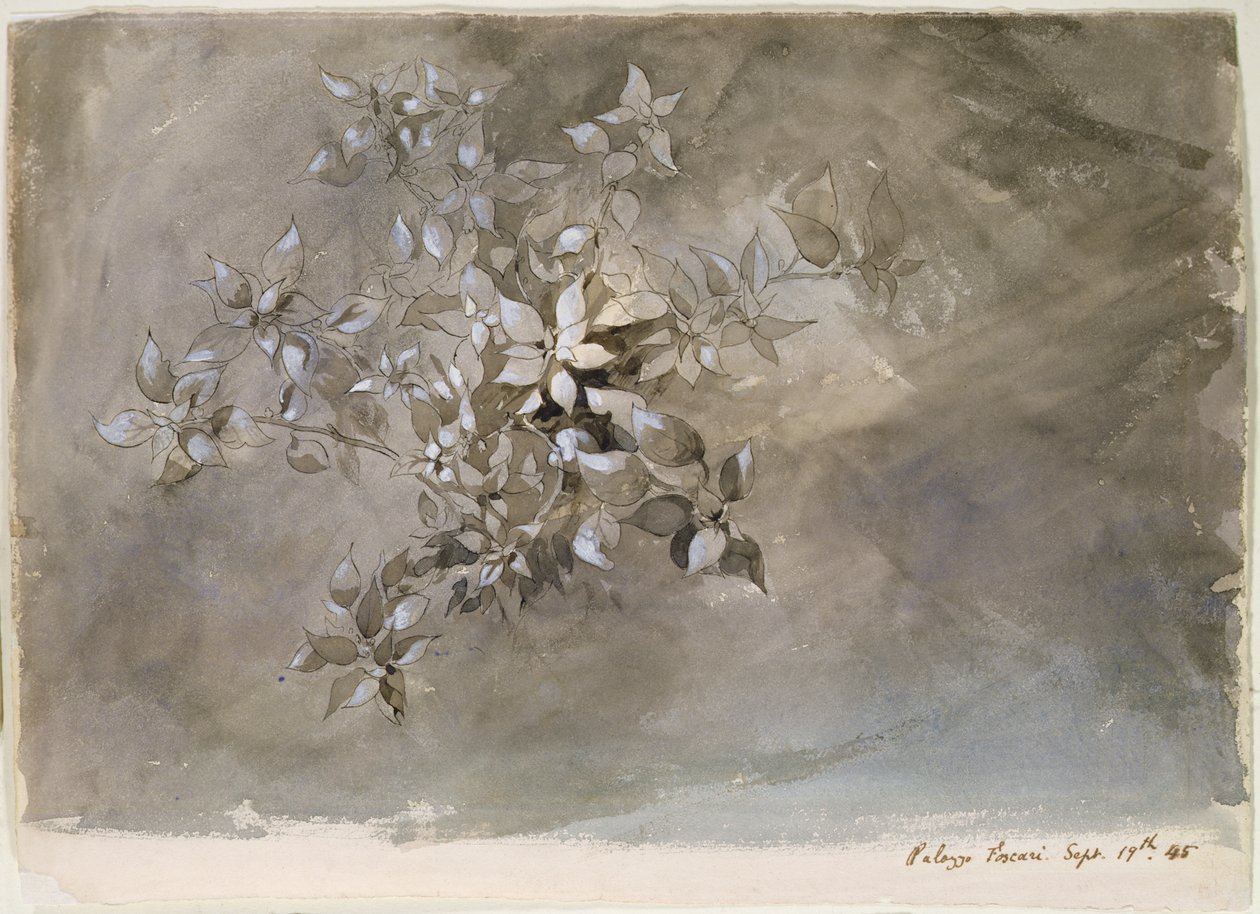 Studie av løvverk av John Ruskin