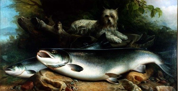 Vokter dagens fangst; en Skye Terrier med en hane og høne laks av John Russell