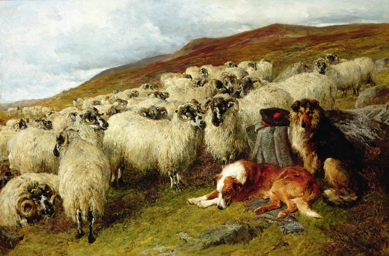 Trøtt, men vaktsom av John Sargent Noble