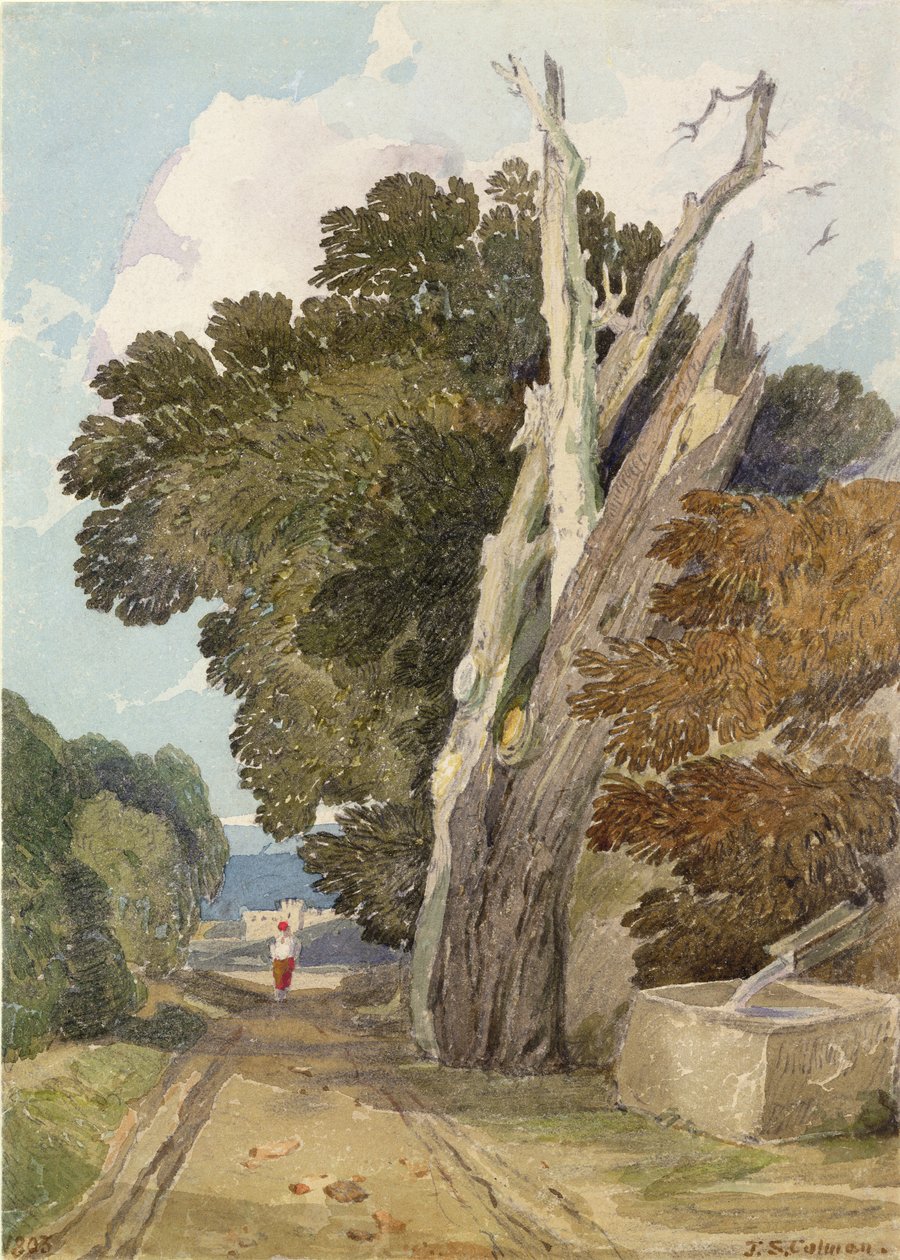 Et spansk kastanjetre truffet av lynet (wc og blyant på papir) av John Sell Cotman