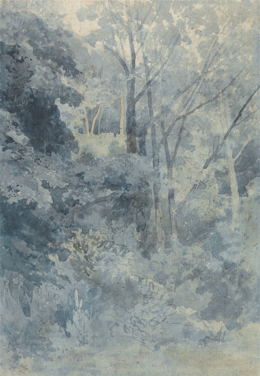 I Rokeby Park av John Sell Cotman