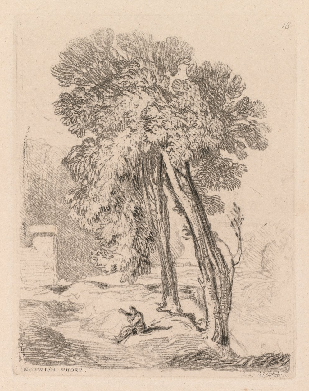 Liber Studiorum: Plate 18, Trees at Norwich Thorp, Norfolk av John Sell Cotman