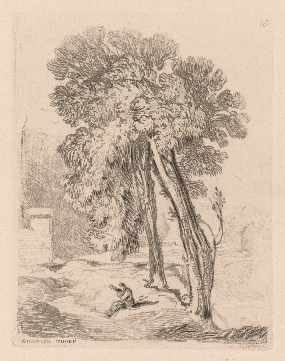 Liber Studiorum: Plate 18, Trees at Norwich Thorp, Norfolk, 1838. av John Sell Cotman