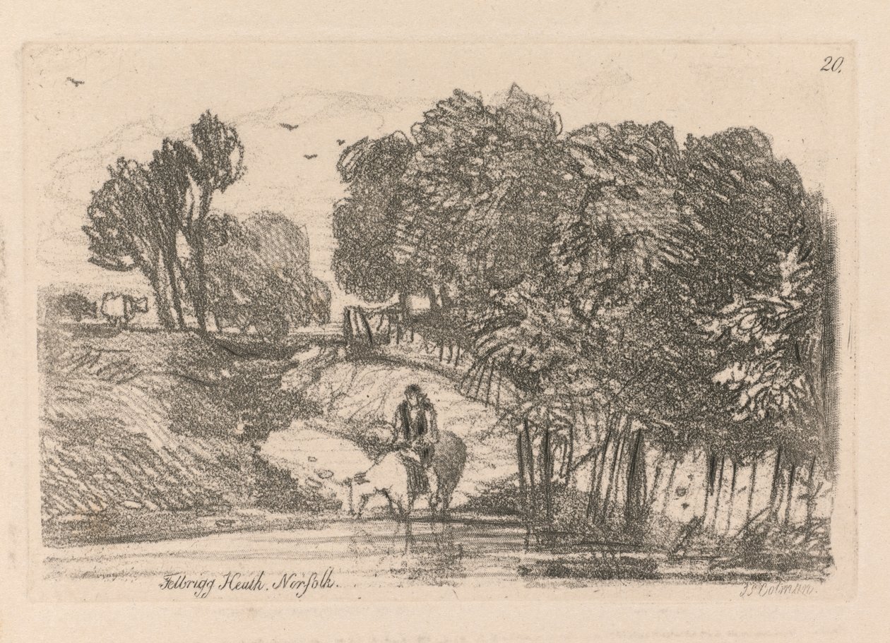Liber Studiorum: Plate 20, Felbrigg Heath, Norfolk av John Sell Cotman