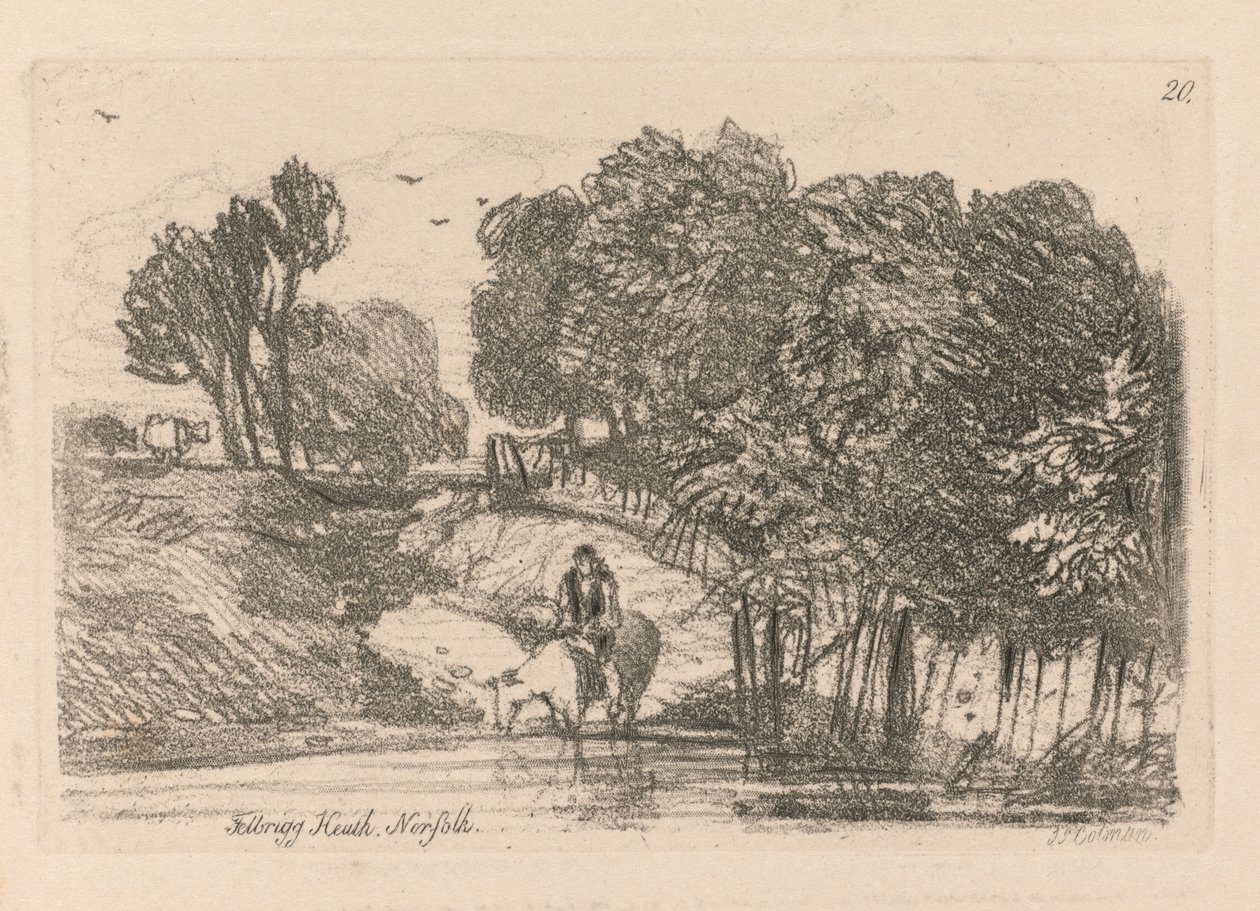 Liber Studiorum: Plate 20, Felbrigg Heath, Norfolk, 1838 av John Sell Cotman