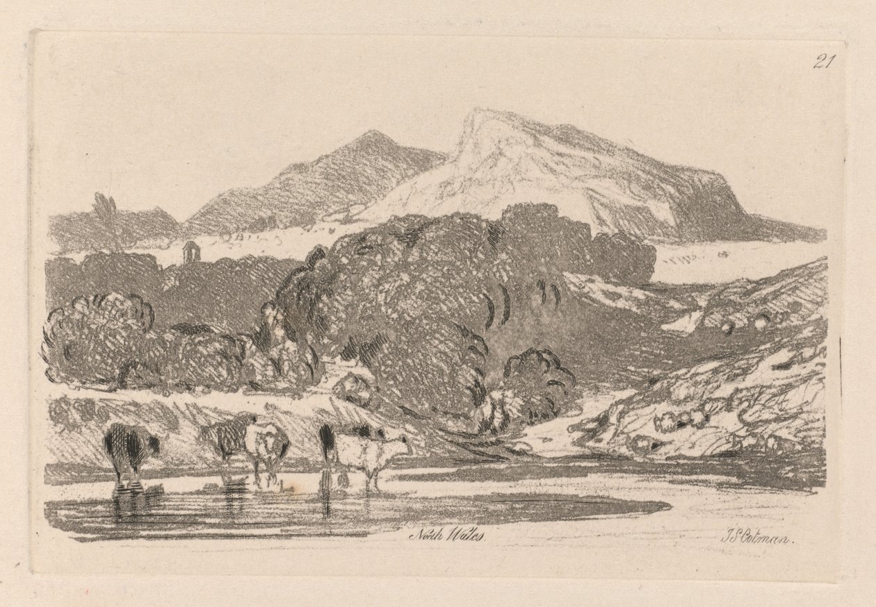 Liber Studiorum: Plate 21, View in North Wales av John Sell Cotman