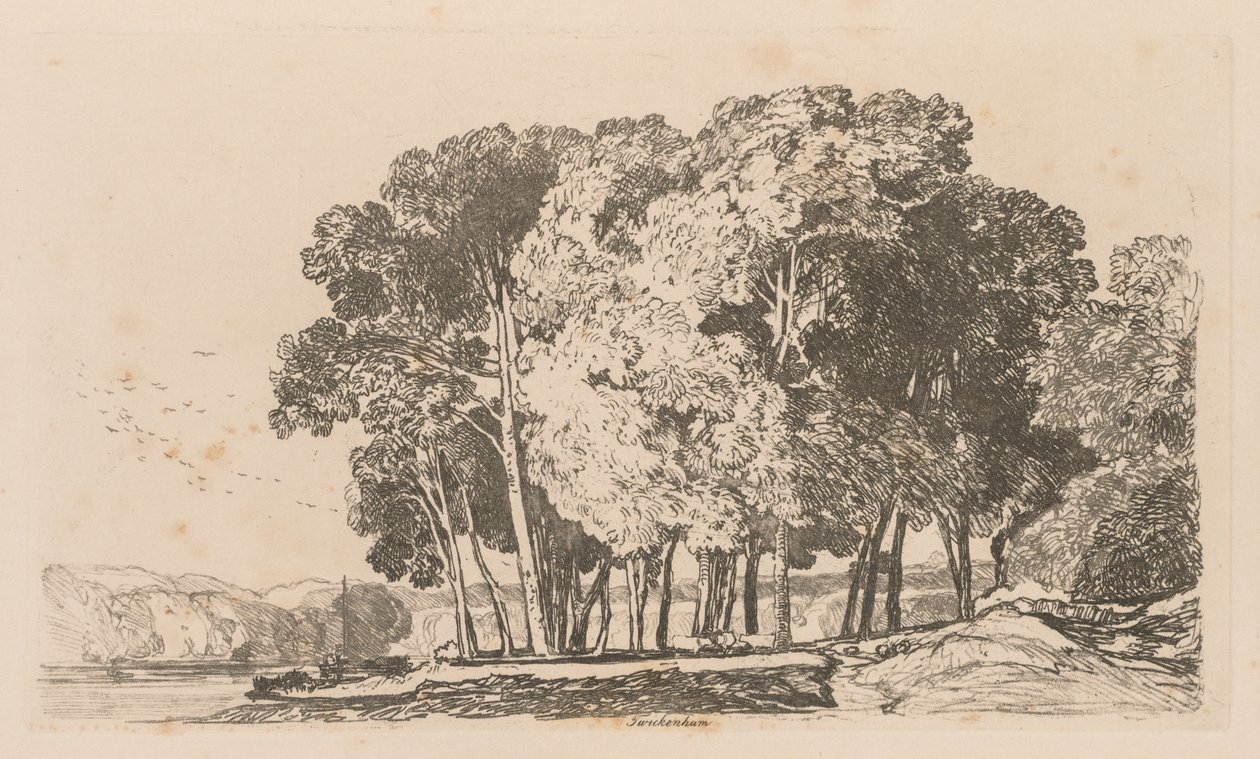 Liber Studiorum: Plate 3, trær nær Twickenham av John Sell Cotman