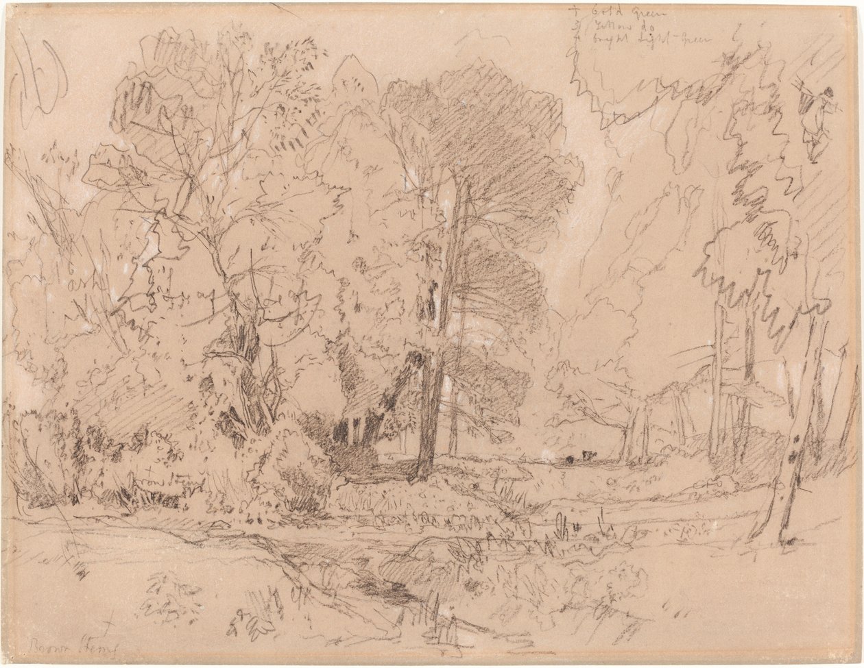 Skogkledd landskap av John Sell Cotman
