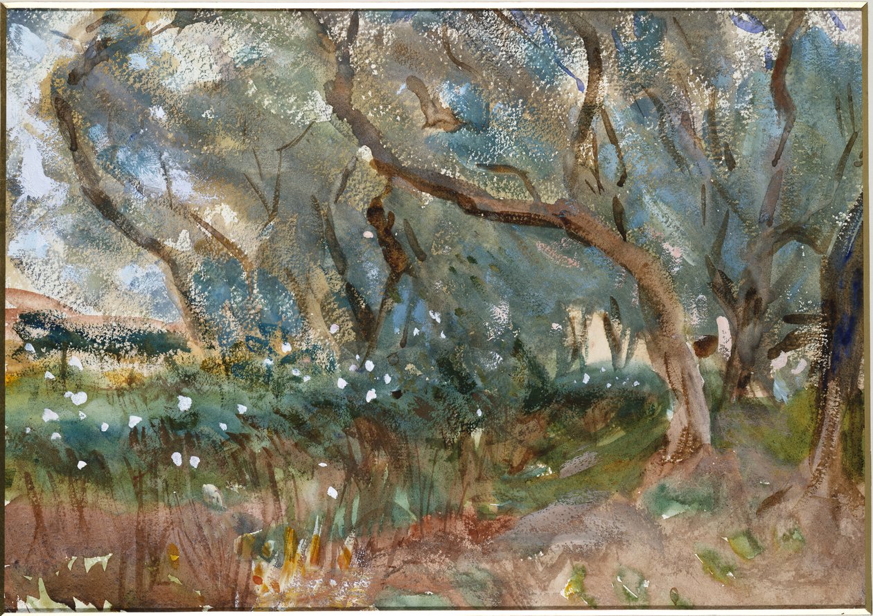 Landskap, Korfu, 1909 av John Singer Sargent