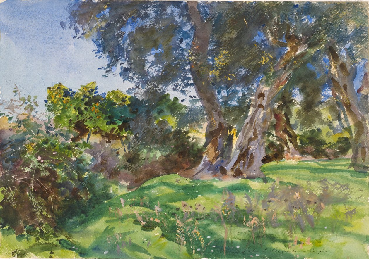 Oliventrær, Korfu av John Singer Sargent