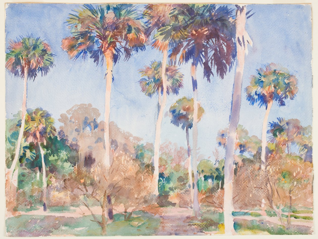 Palms, 1917 (wc over grafitt på papir) av John Singer Sargent