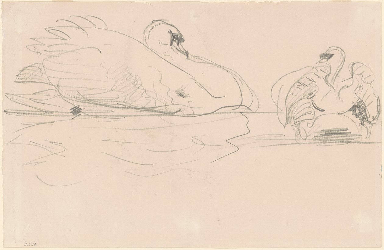 Svaner i vannet av John Singer Sargent
