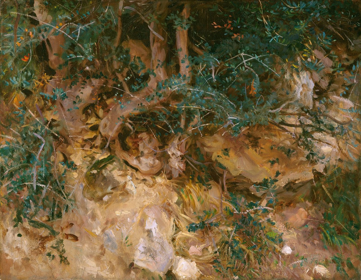 Valdemosa, Mallorca: Thistles and Herbage on a Hillside, 1908. av John Singer Sargent