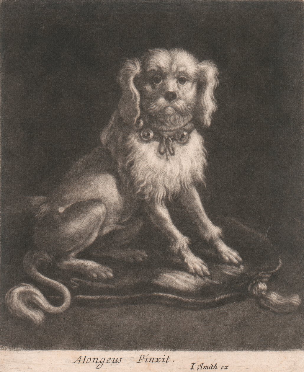 En liten hund, iført et halsbånd. av John Smith