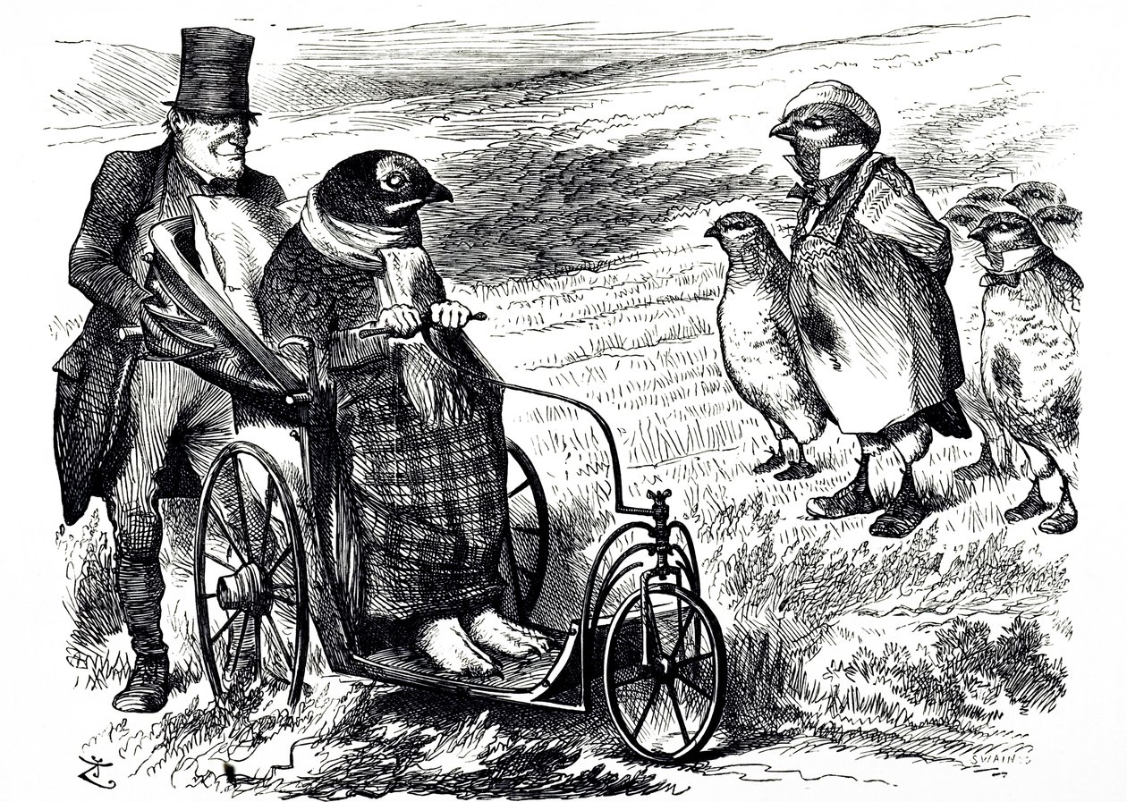 En tegneserie som kommenterer suspensjonen av Grouse Shooting for å la bestanden gjenoppbygges. Illustrert av John Tenniel (1820-1914), en engelsk illustratør, grafisk humorist og politisk tegneserieskaper av John Tenniel