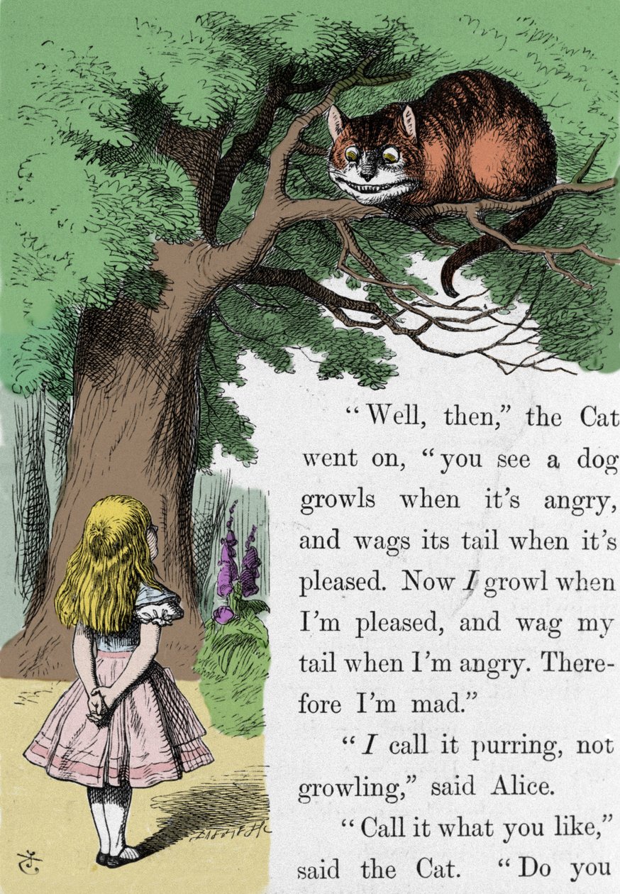 Alice and the Cat, illustrasjon av Sir John Tenniel for den første utgaven av Alice in Wonderland av den engelske forfatteren Lewis Carroll (Charles Lutwidge Dodgson) (1832-1898). av John Tenniel