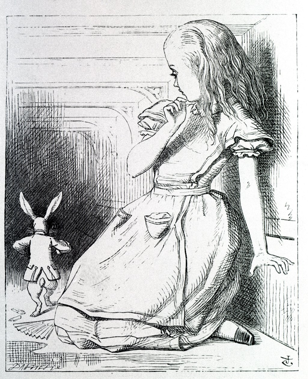 Alice et le kanin - i "Alice