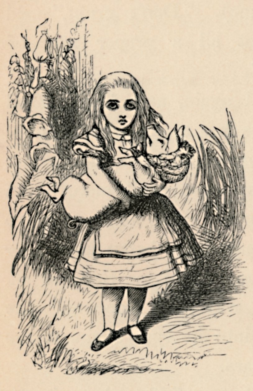 Alice holder en gris i armene, 1889 av John Tenniel