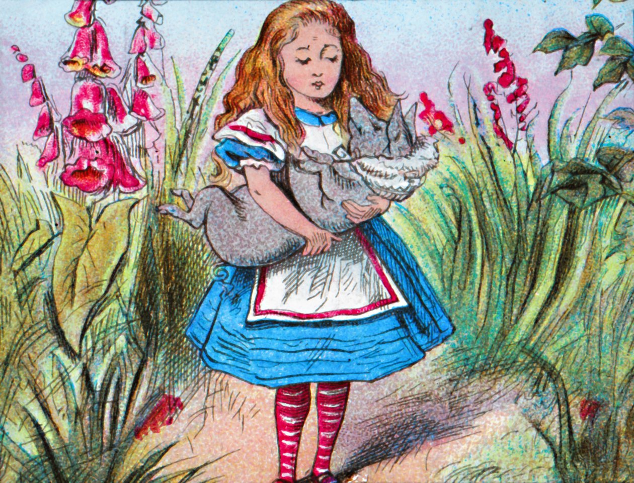 Alice holder en gris i armene., c1910. av John Tenniel