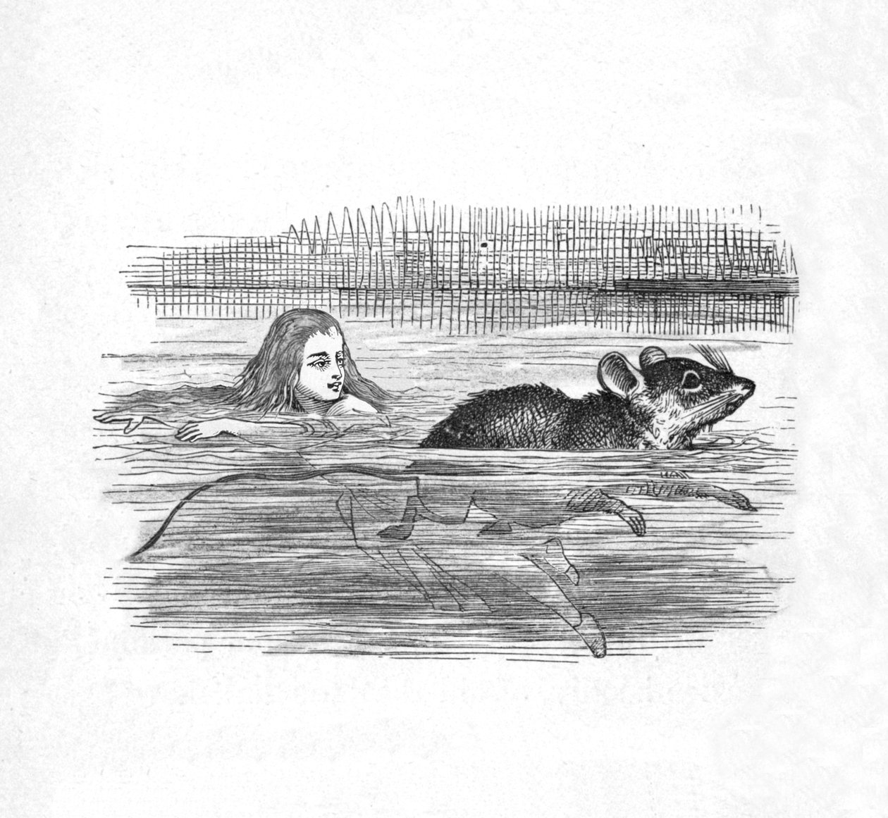 Alice svømmer med en mus i et basseng, 1889 av John Tenniel
