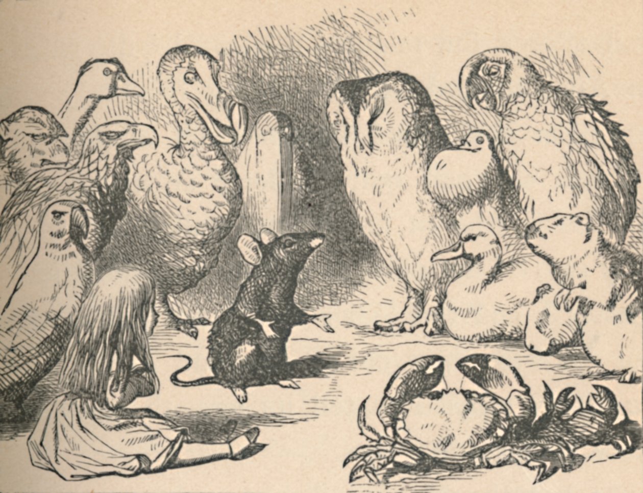 Illustrasjon for kapitlet et Caucus-Race og en lang hale. Alice og ulike skapninger, som f.eks av John Tenniel