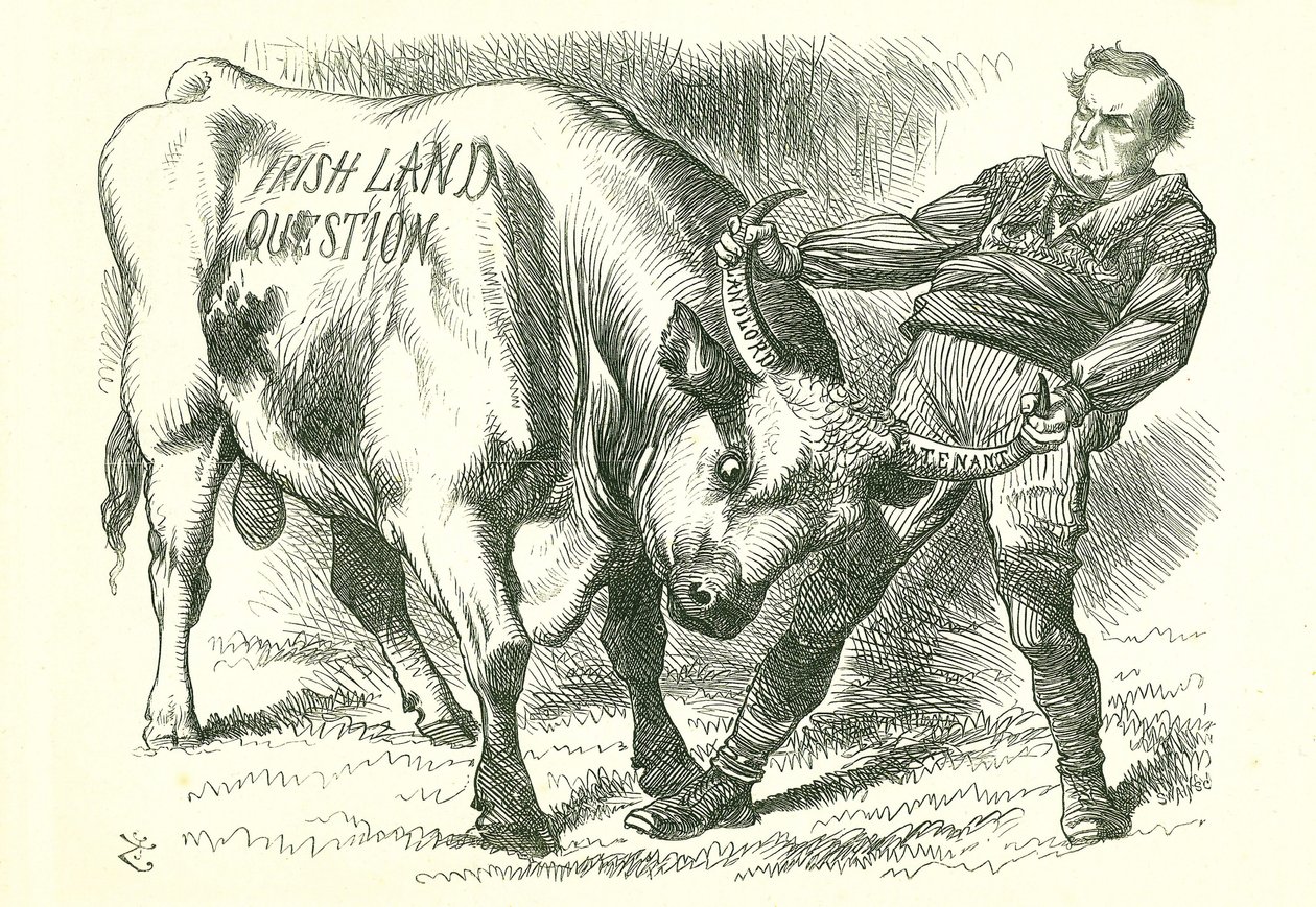 Tar den (irske) oksen ved hornene: Lovforslaget ble vedtatt av parlamentet 15. februar 1870 og fikk kongelig samtykke 8. juli. William Gladstone, statsminister, som behandler problemet. John Tenniel tegneserie fra Punch, London, 26. februar 1870. av John Tenniel