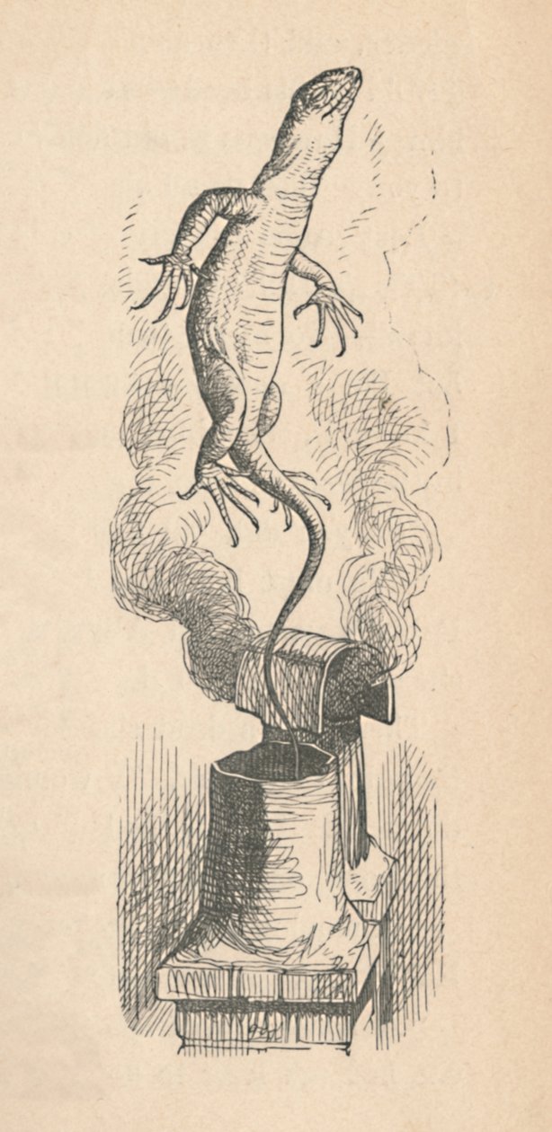 Øglen, 1889 av John Tenniel