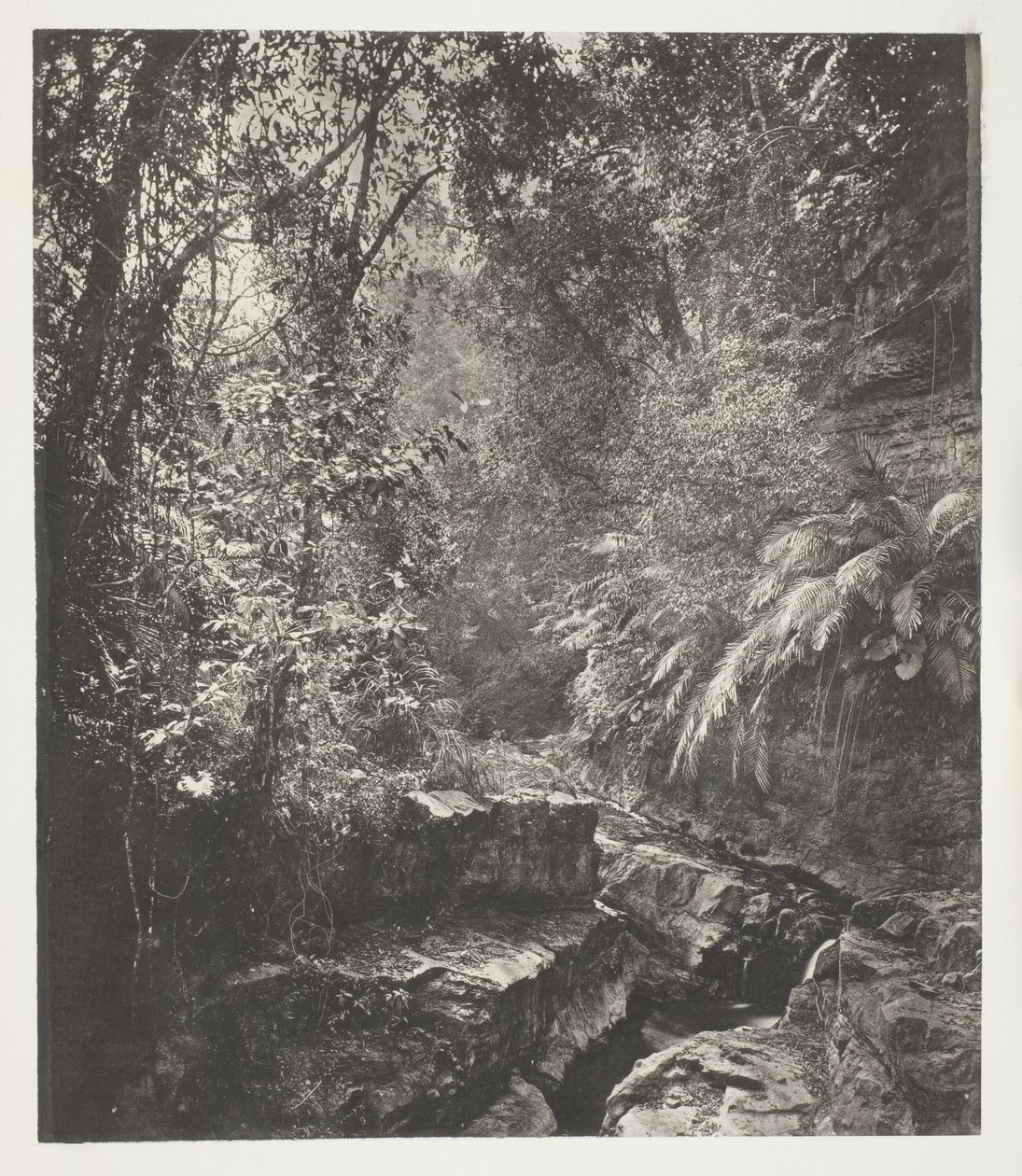  av John Thomson