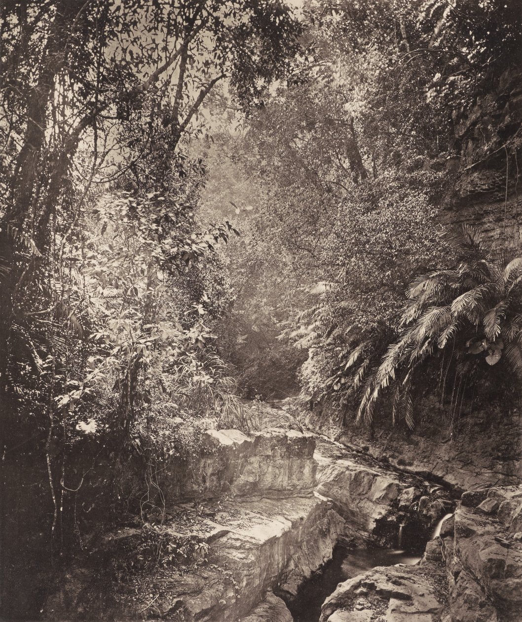  av John Thomson