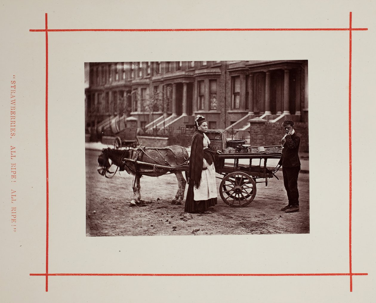 Jordbær. Alt modent! Helt moden!, 1877. av John Thomson