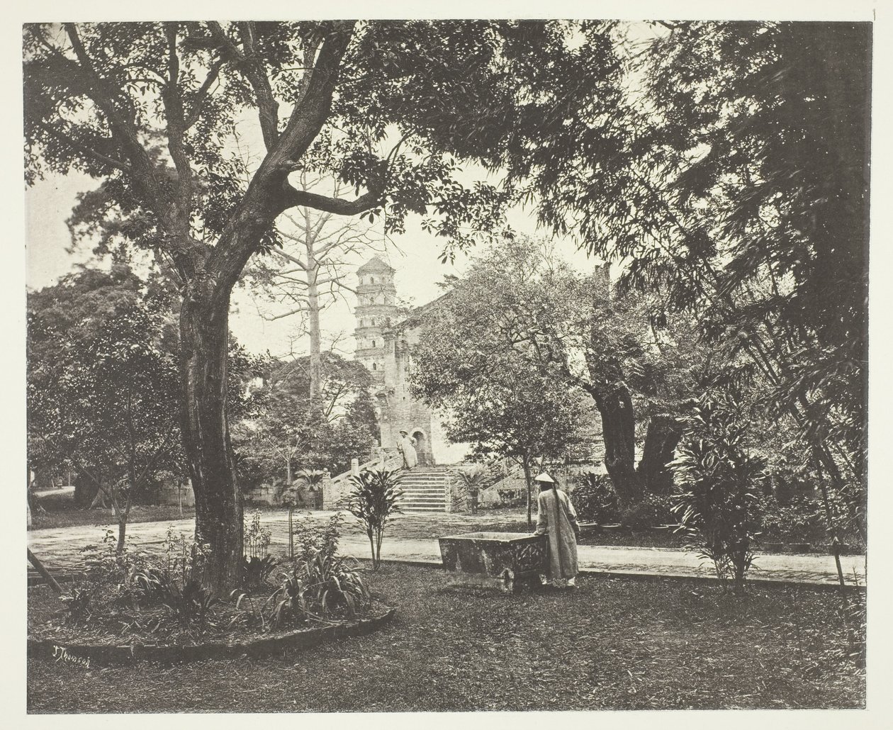  av John Thomson
