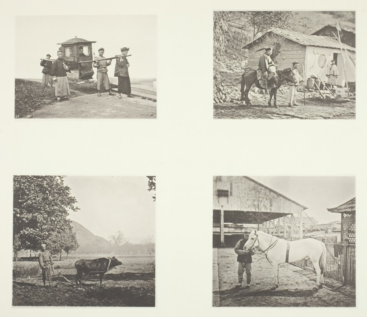 The Sedan, A Military Officer, The Plough, A North China Pony, ca. 1868. av John Thomson