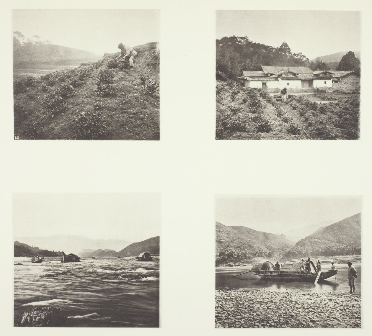  av John Thomson