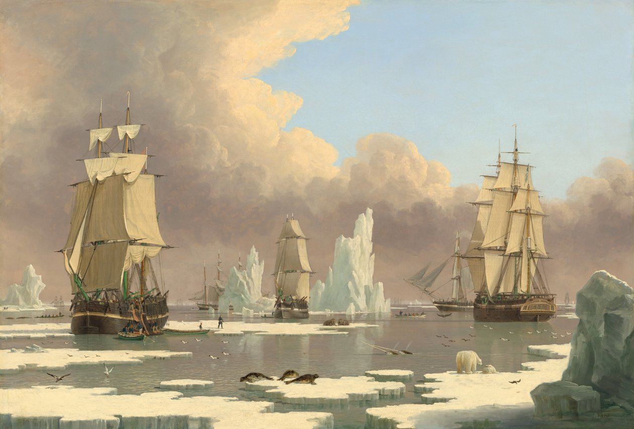 The Northern Whale Fishery: "Svanen" og "Isabella" av John Ward of Hull