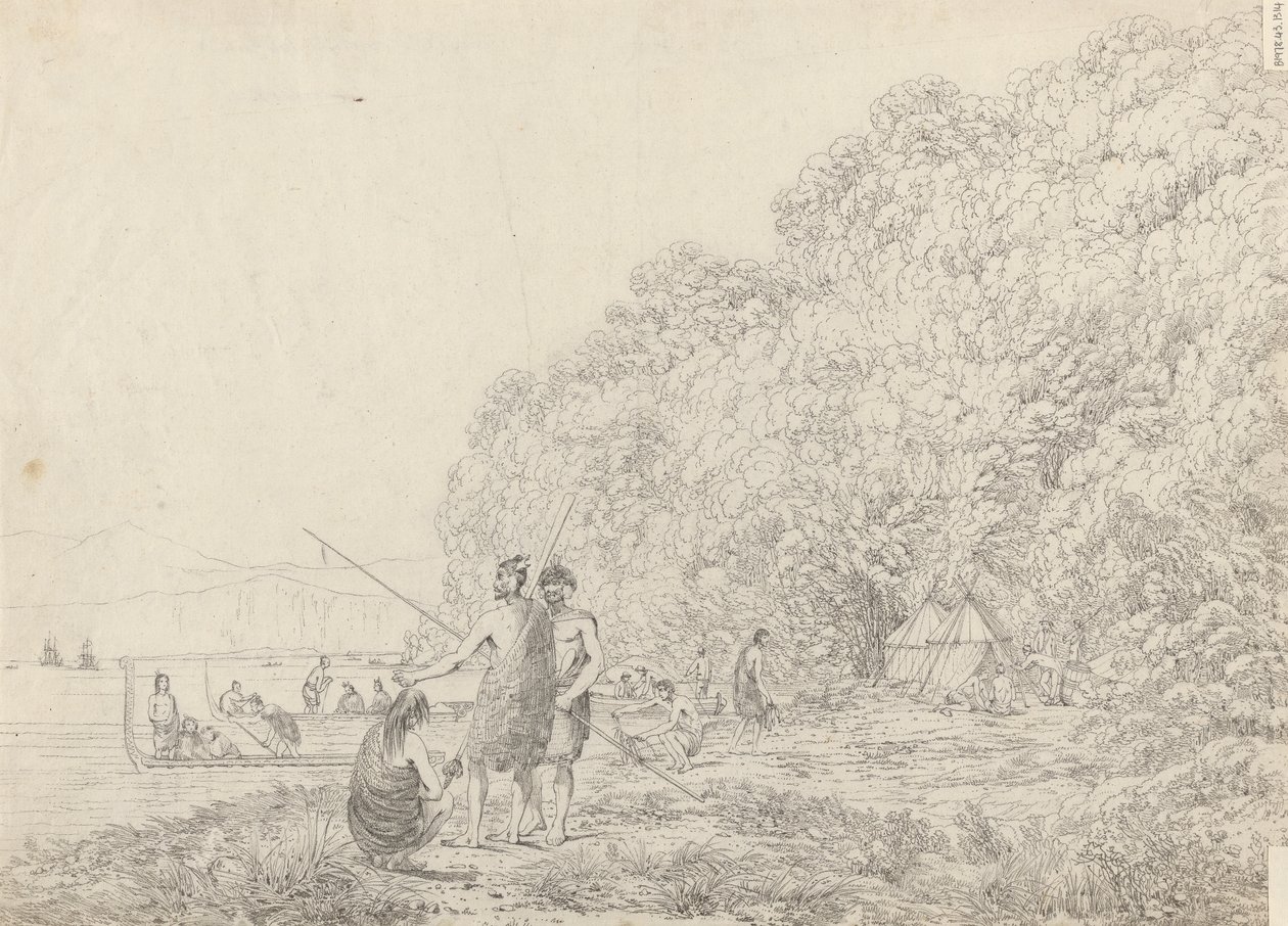 Queen Charlotte's Sound, New Zealand av John Webber