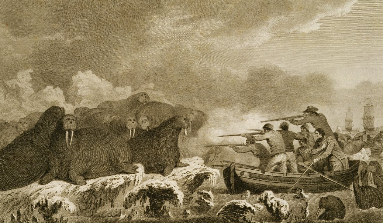 Sea Horses, figurer av J. Heath, gravert av E. Scott plate 52 fra 