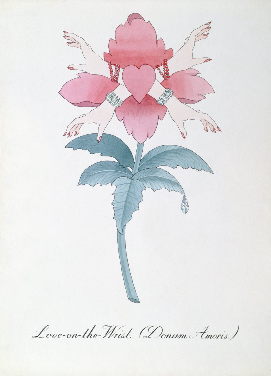 Love-on-the-Wrist (Donum Amoris.) illustrasjon fra 'The Bogus Book of Botany' av John Weir av John Weir