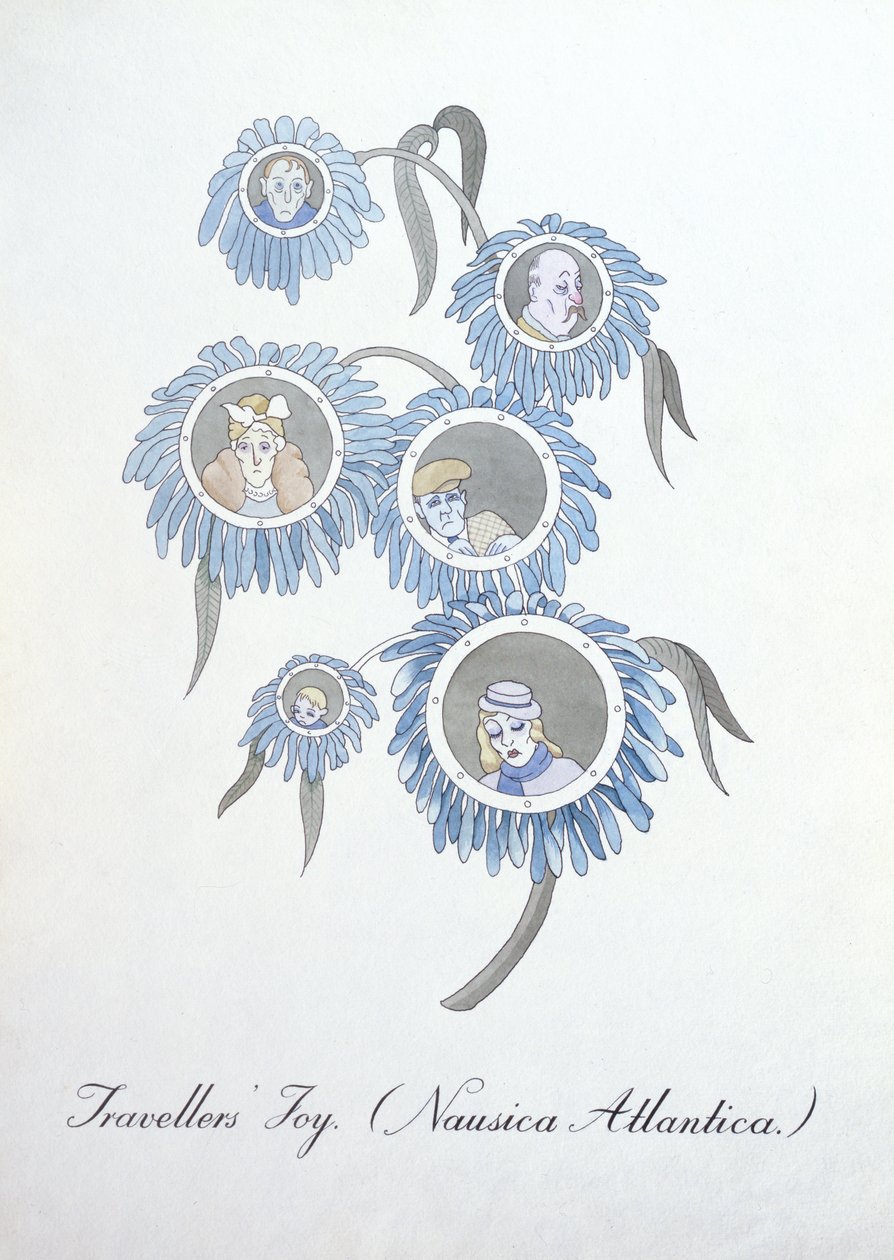 Travellers' Joy (Nausica Atlantica.), illustrasjon fra 'The Bogus Book of Botany' av John Weir av John Weir