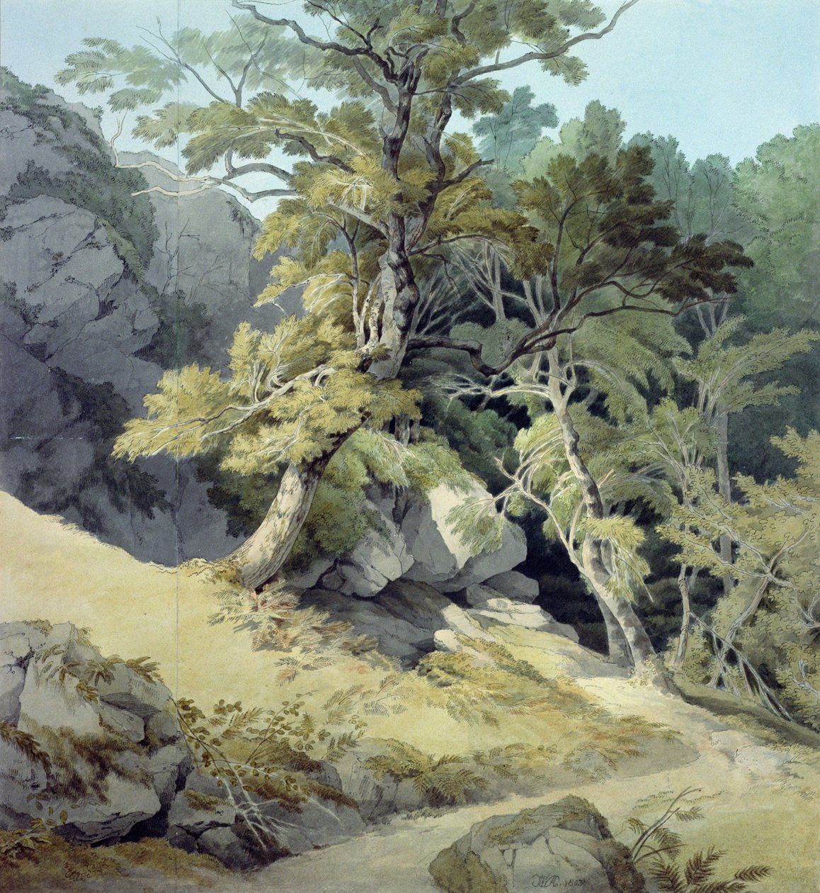 Canonteign, Devon av John White Abbott