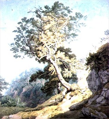 Utsikt nær Canonteign, Devon av John White Abbott