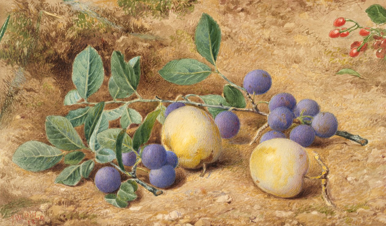 Plommer, 1870. av John William Hill