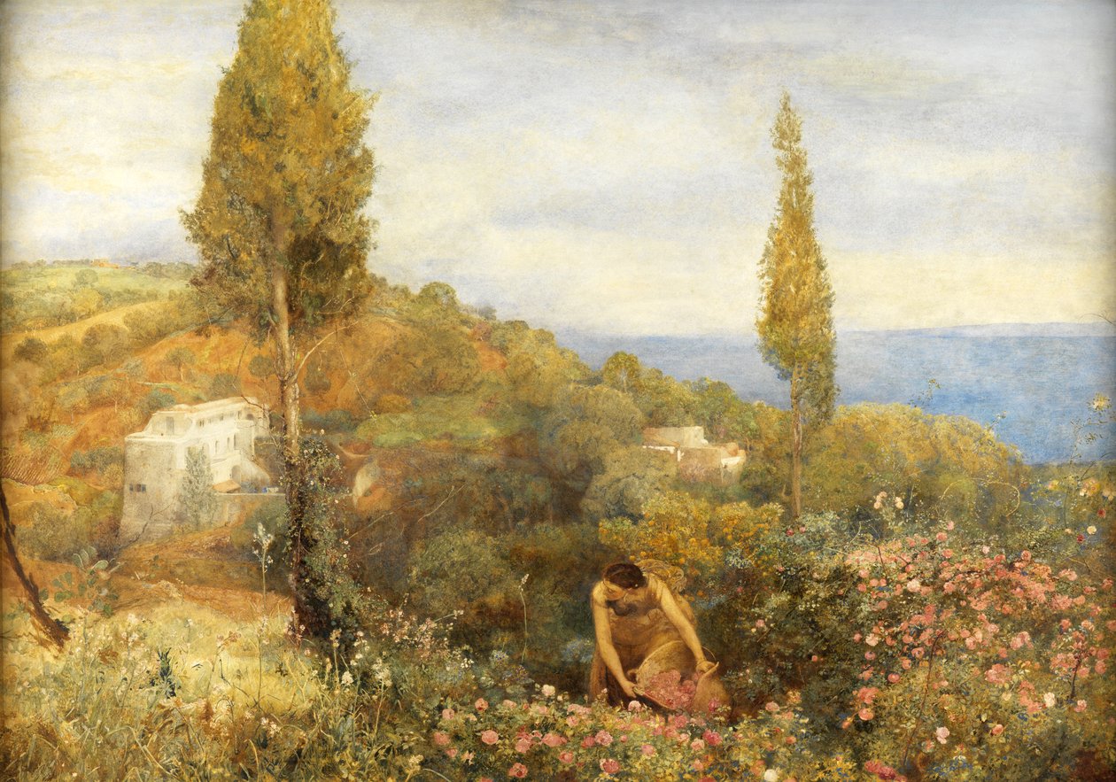Roser, Asphodel og Cypress - Algerie av John William North