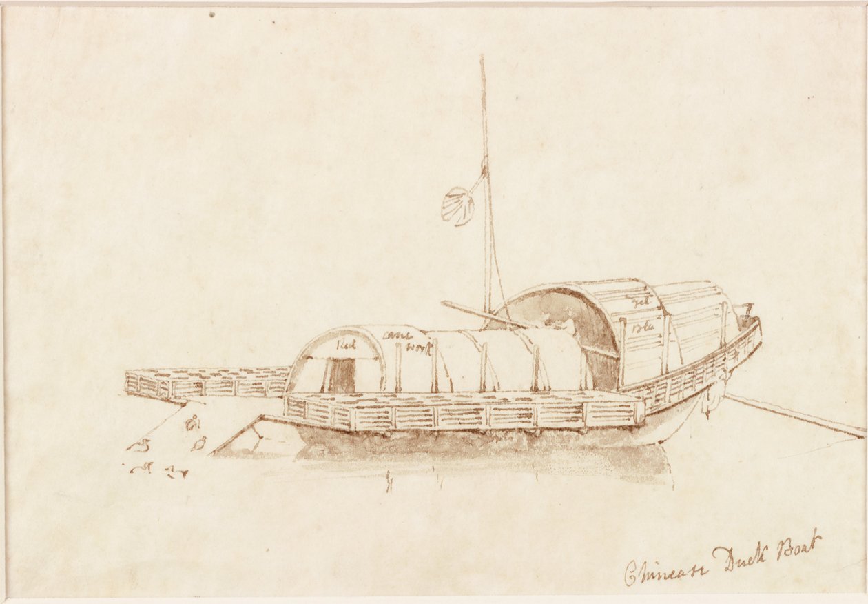 Chinese Duck Boat (blekk (spiral) på papir (på papir)) av John Wilson Carmichael