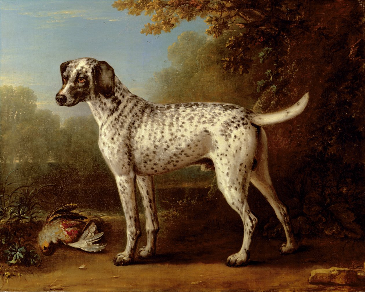 Gråflekket hund av John Wootton