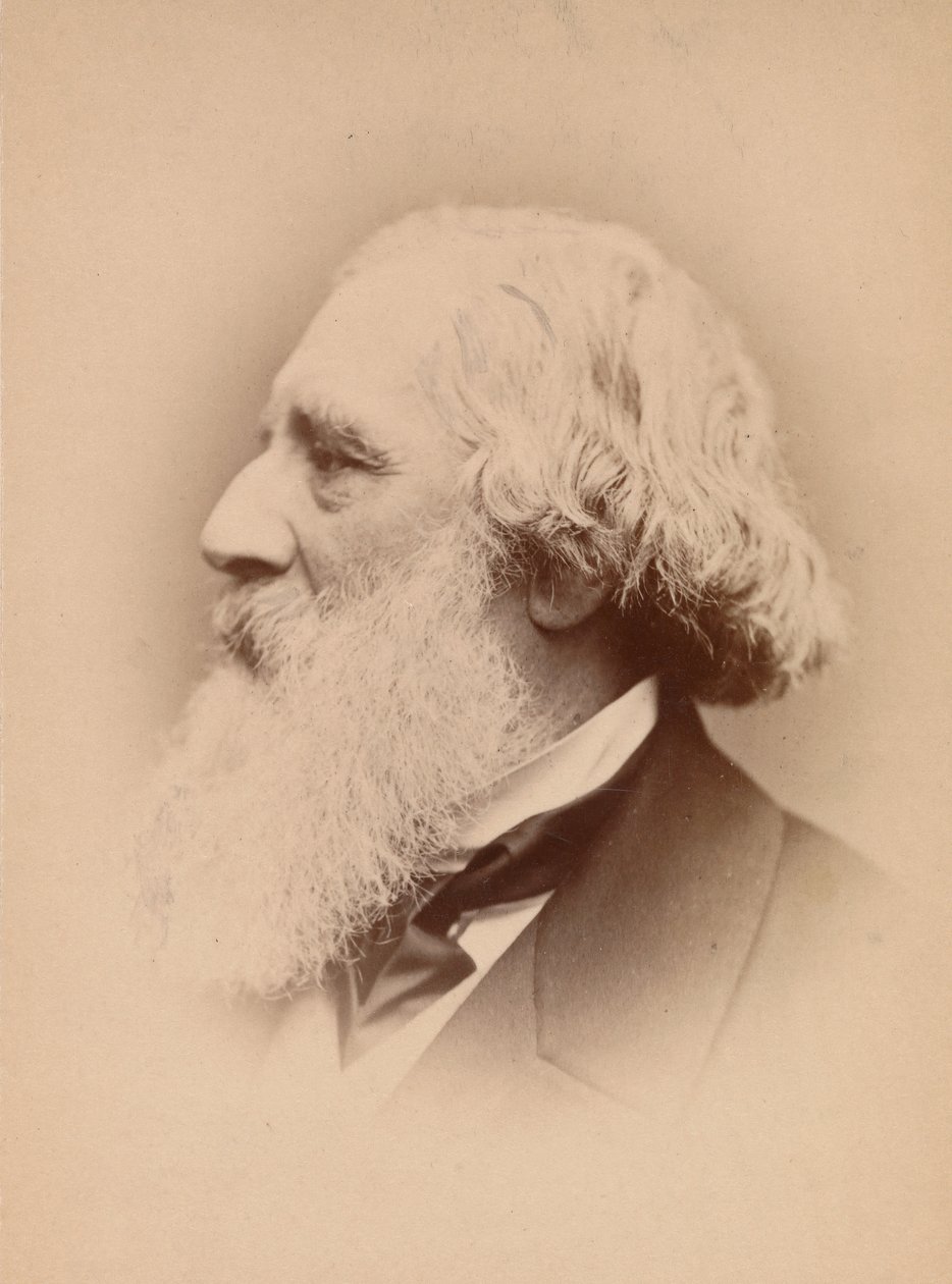 [John Frederick Lewis], 1860-tallet. av John and Charles Watkins