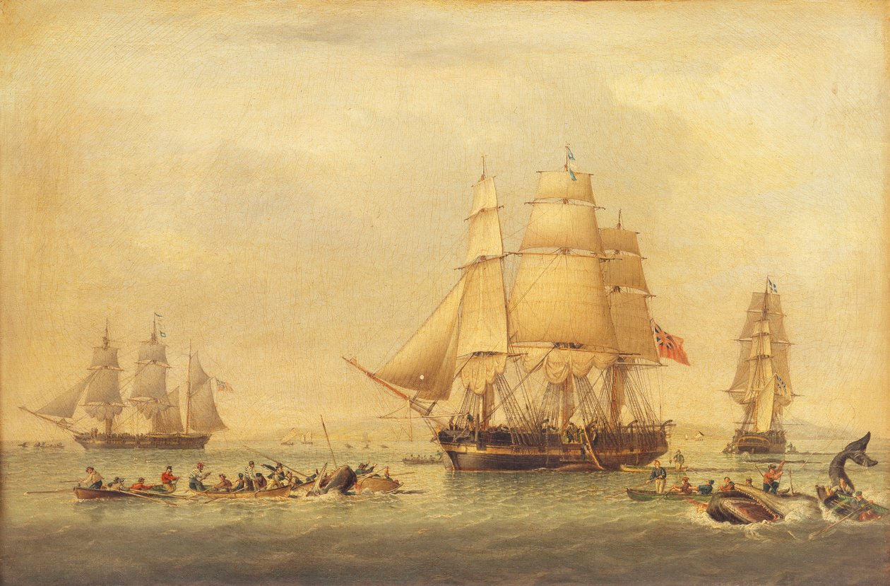 Whalers of the South Seas Fishery, av John of Hull Ward